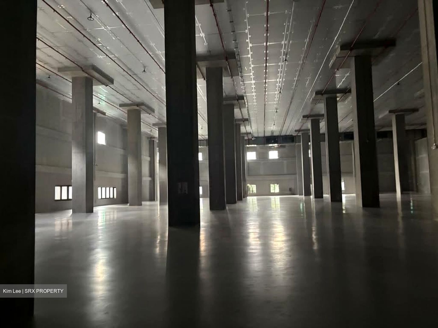 Expo Drive (D16), Warehouse #563349281